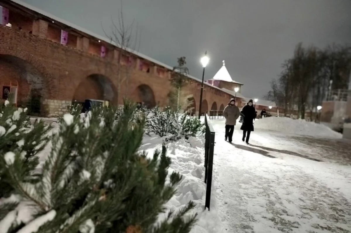 Синоптики обещают нижегородцам снежный февраль с температурой выше среднего