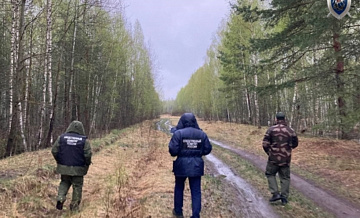 В Нижегородской области нашли ребёнка, потерявшегося 25 апреля