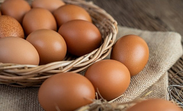 Антибиотики в яйцах выявили в нижегородской лаборатории