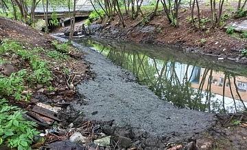 В Нижегородской области 25% водоемов загрязнены