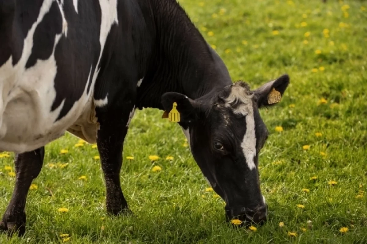 ����� ��������� ���������� ��� � ���� ����� ������������� �������