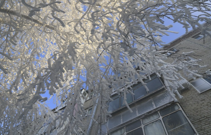 ������ �� -33 �������� ��������� � ������������� �������