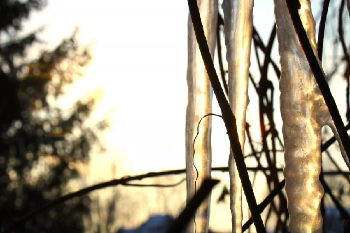 ���������� �� +12�� ������ � ������ �������� � ������