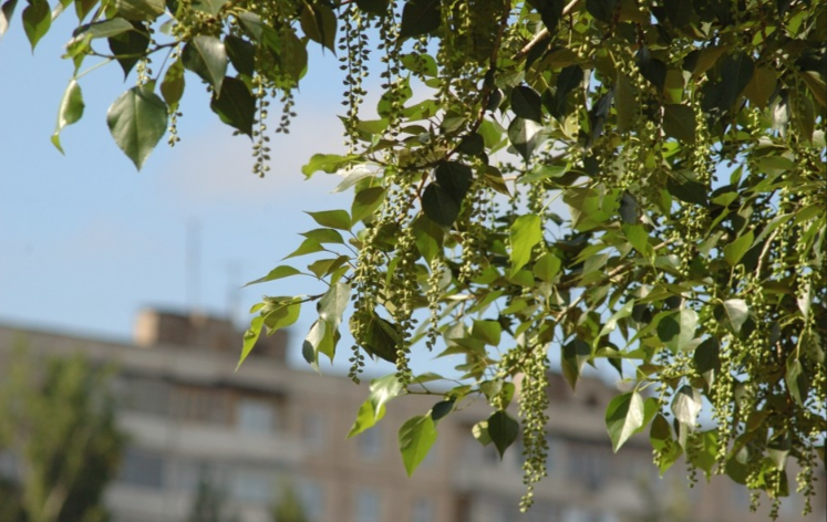 ���������� ����� � �������� �������� � ������ ��������� �������� �������� ������