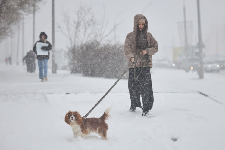 ��� ������������� � ������� ���������� � ������������� ������� 3 � 4 ������