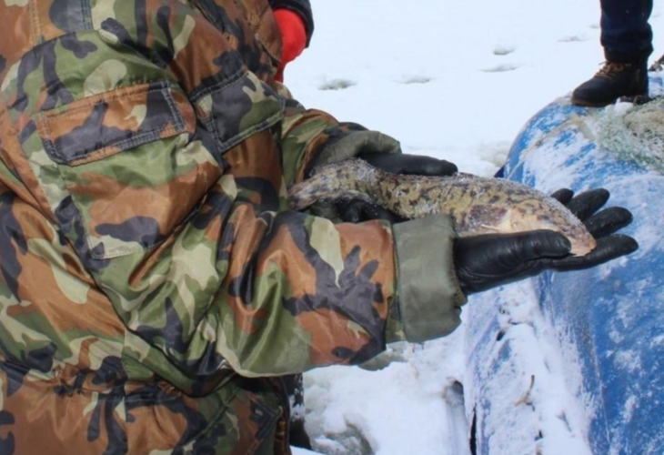 ����� ������ ��������� � ������������� ������� � 1 �������