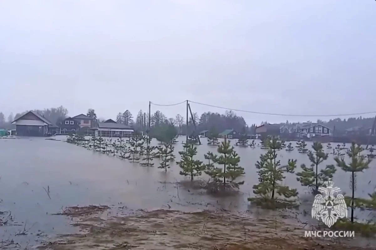 ������� � ������������� �������: ��������� ������� ����� � ������ ��������