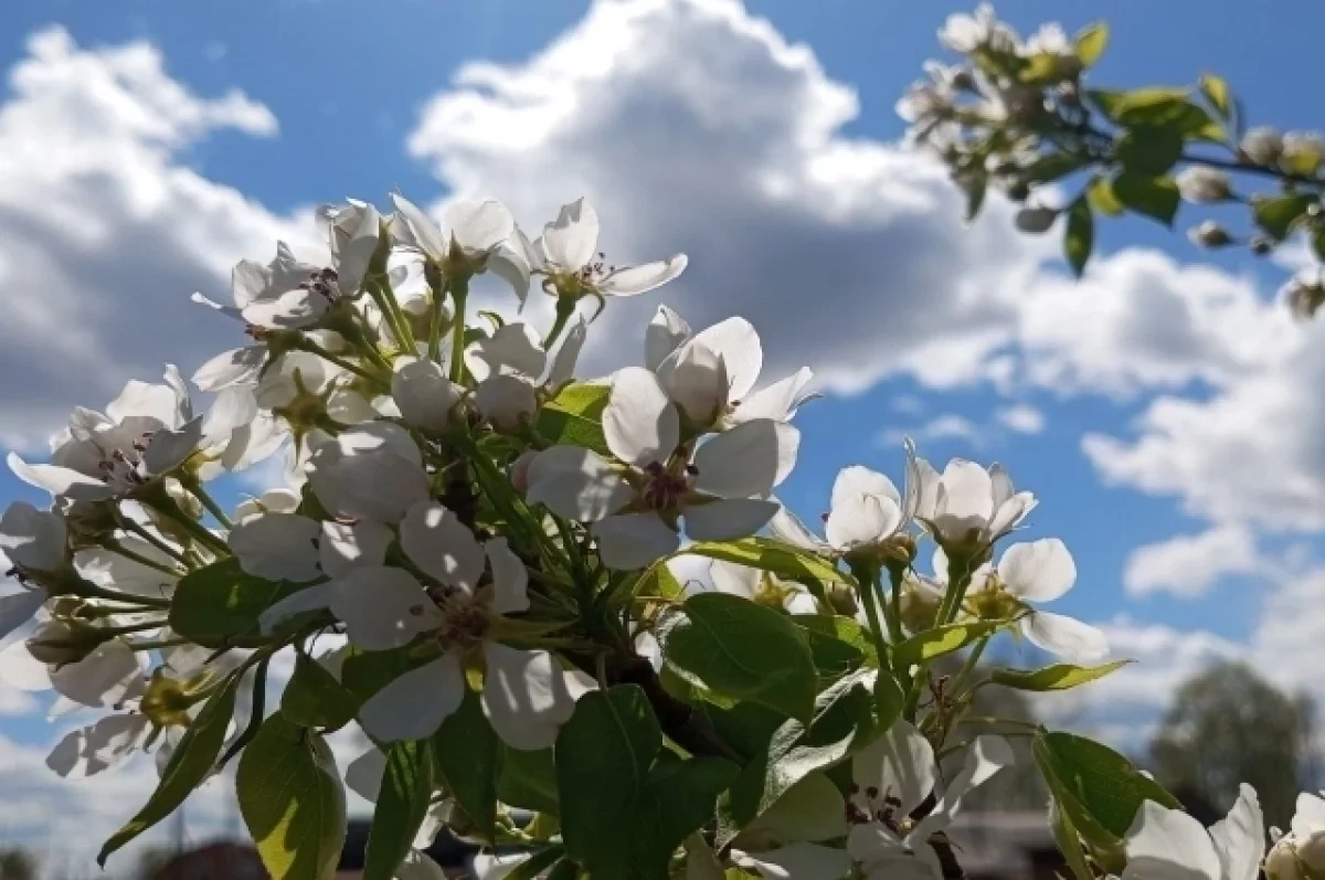 ������� ����� � 2026 ���� �������������� ������������� �������