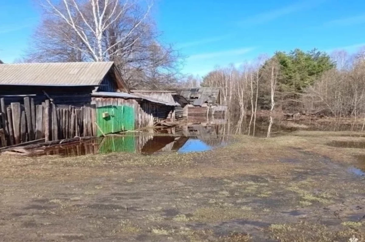 ����������� ���� ����������� �� ���������� � ��������