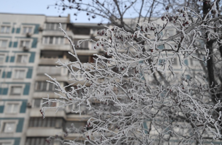 � ������ �������� ������ ������ �� -15 ��������