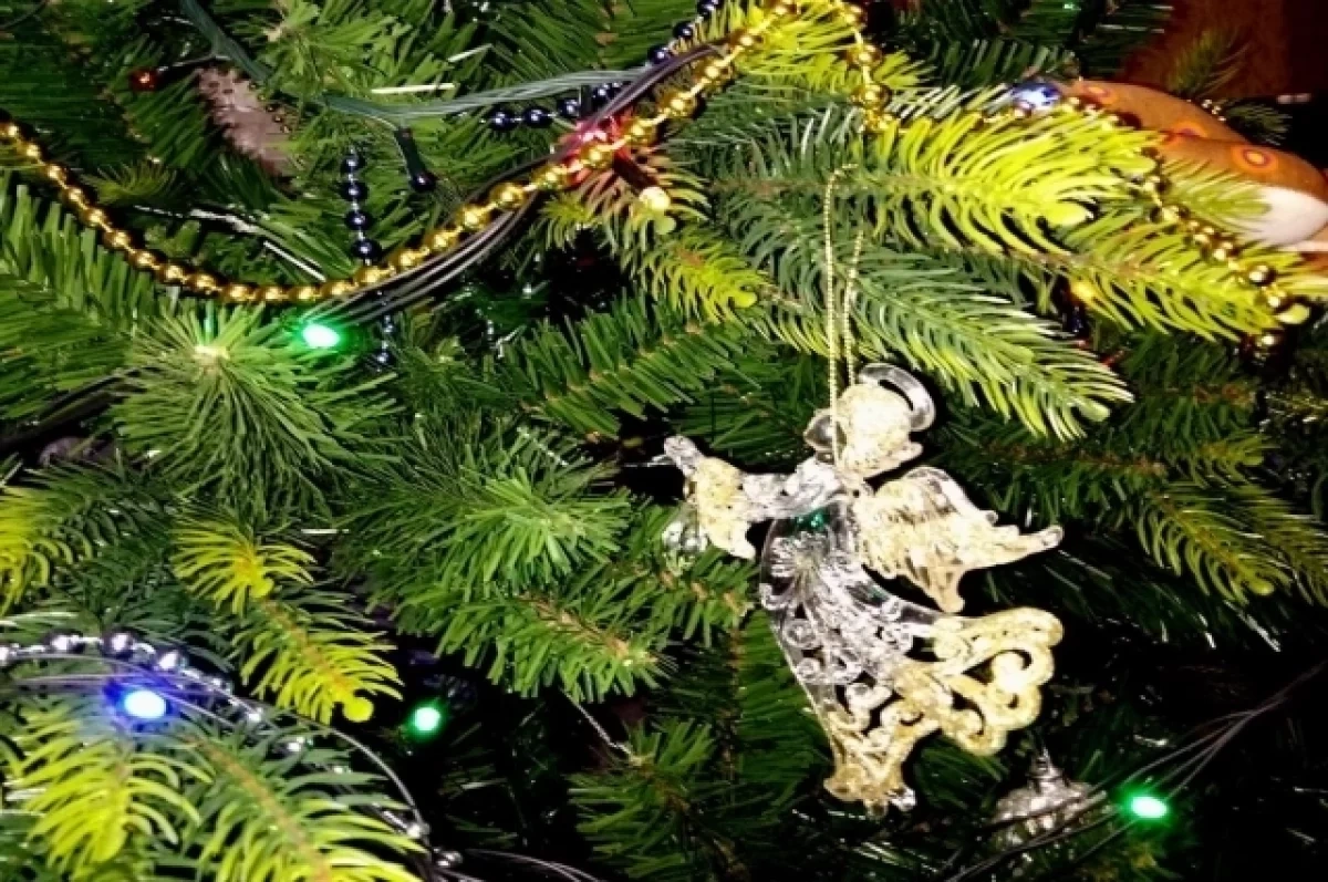 ������������ ������� ����� ������ �������������� ������