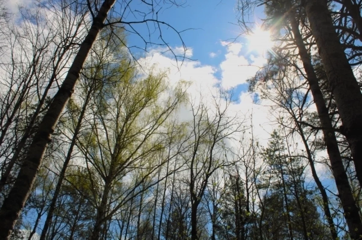 В Нижнем Новгороде похолодает