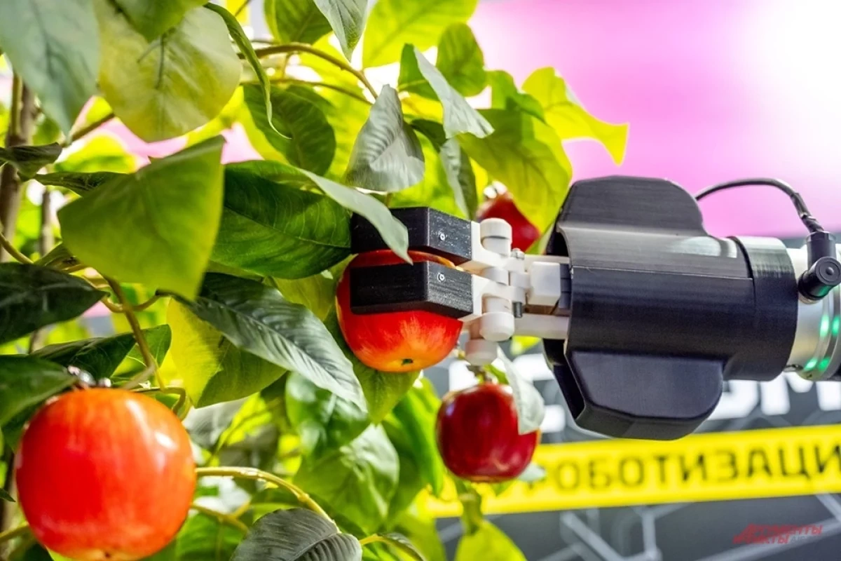 Центр развития промышленной робототехники запустят в Нижнем Новгороде