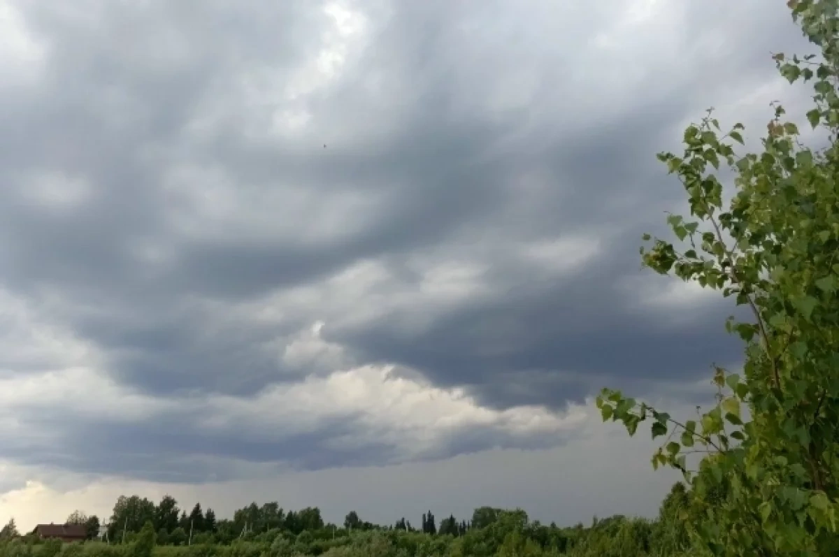 � �������� ��������� ����������� ���������� �����