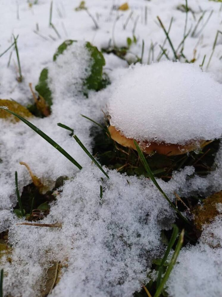 Зима вернулась в Нижний Новгород 6 апреля
