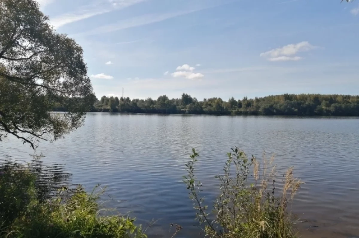 Ограничения для судов ввели в Нижегородской области из-за обмеления Волги