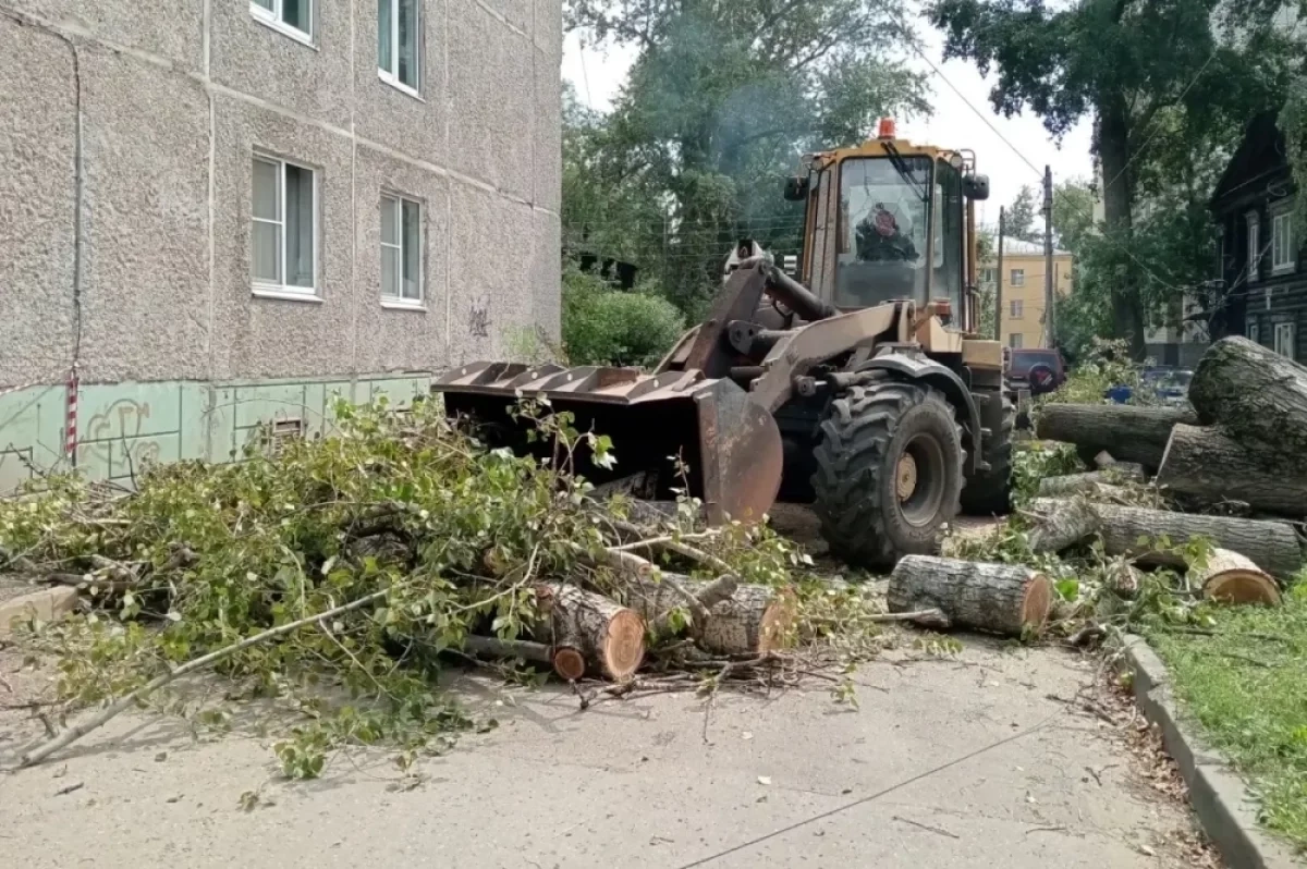 Рухнувшее на дом дерево начали вывозить на Зеленодольской улице