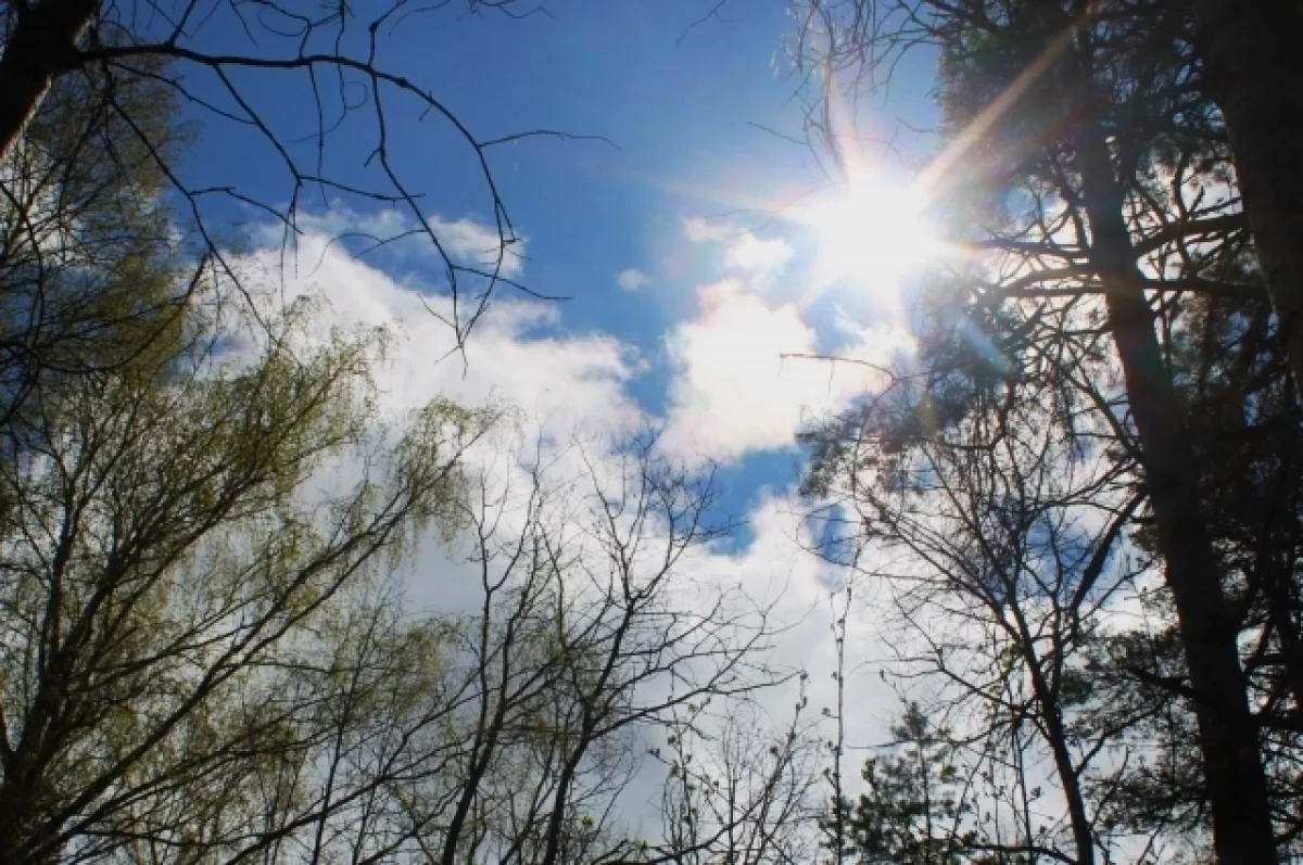 ������ ���������� ������ � ������ �������� �� �������� 4-5 ������