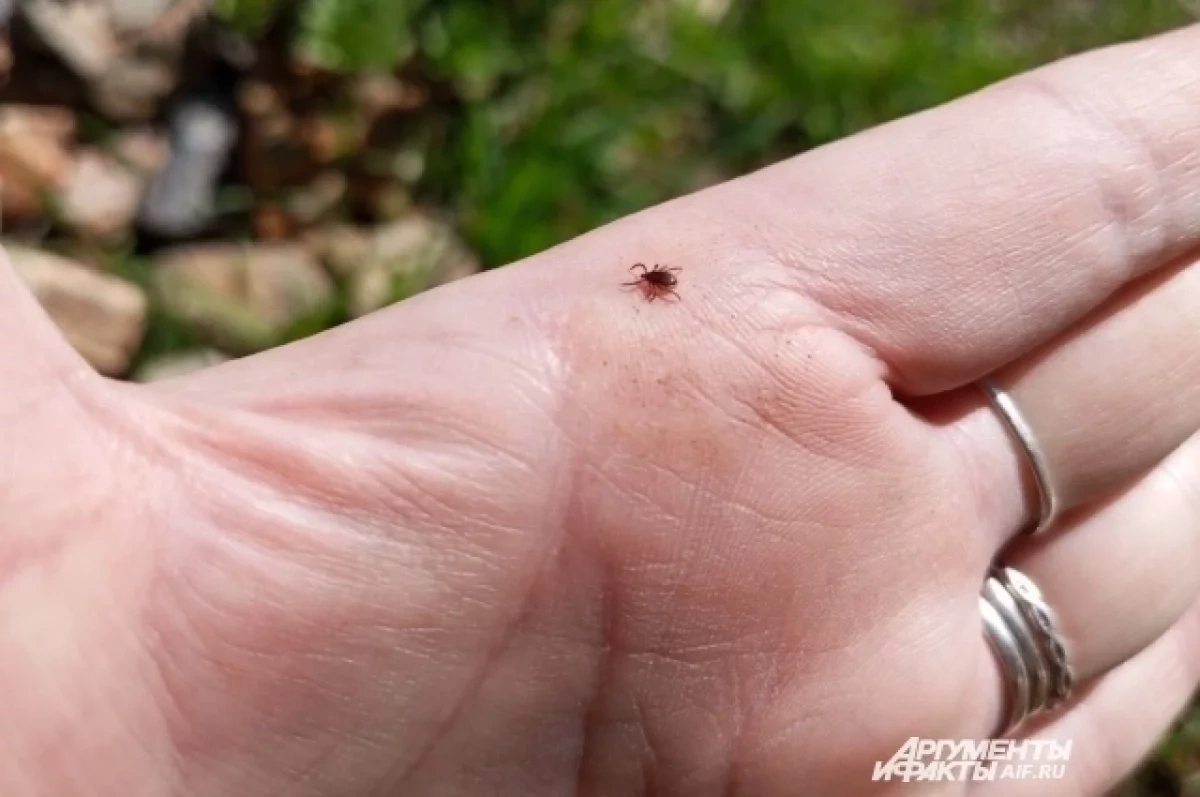 ������������ ��������� �������� �������� ��� ����� �����