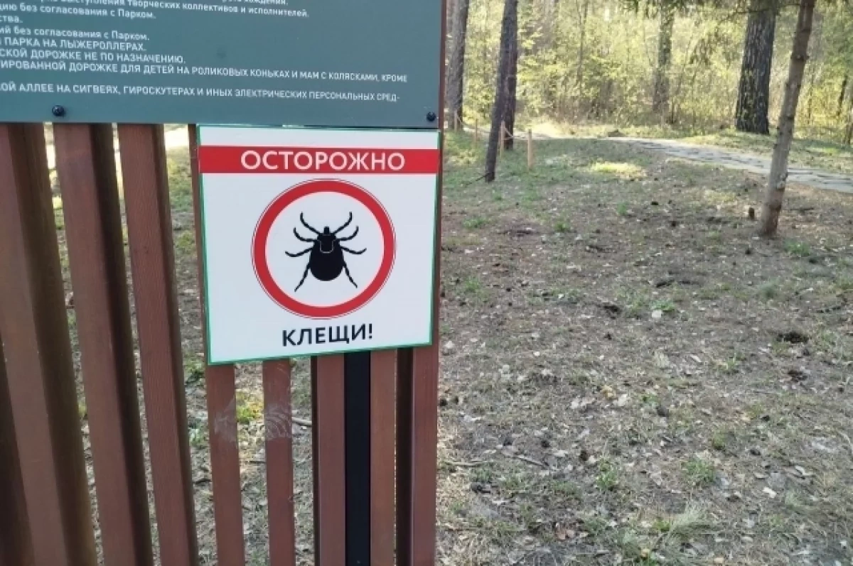 Число пострадавших от клещей резко выросло в Нижегородской области
