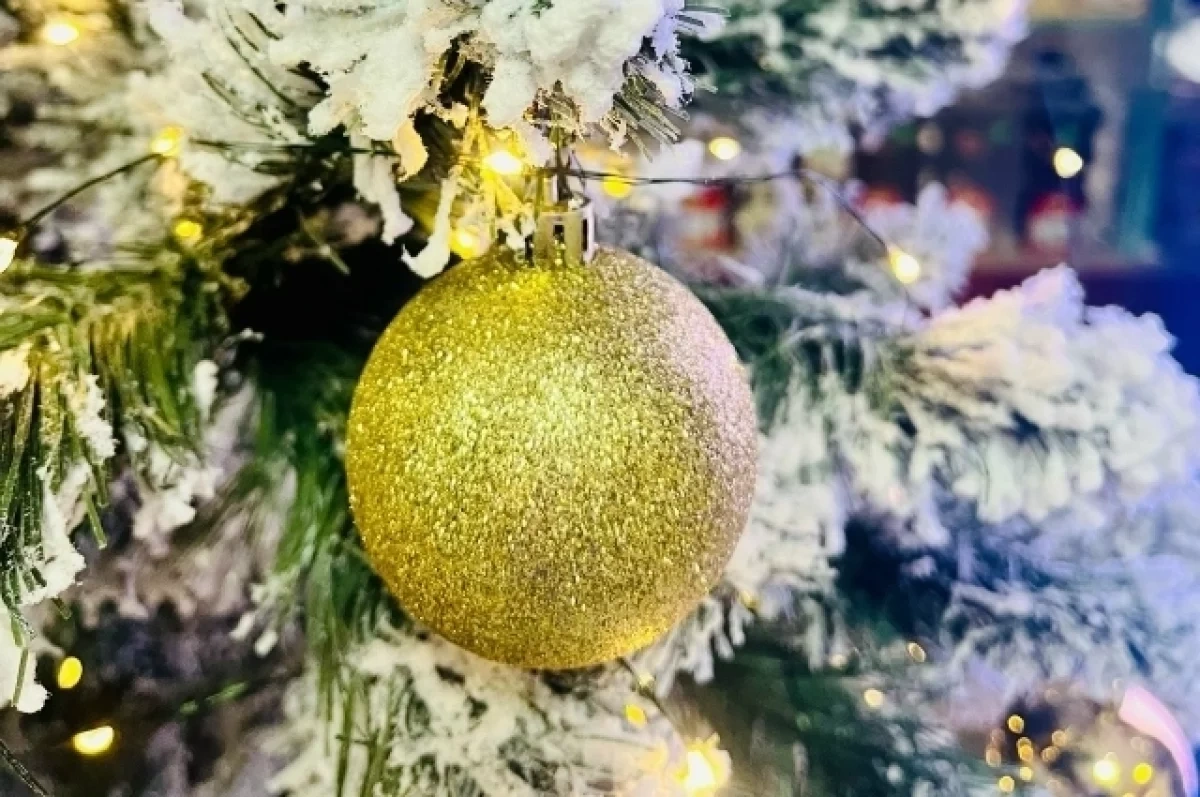 В Нижнем Новгороде определены адреса ёлочных базаров к Новому году