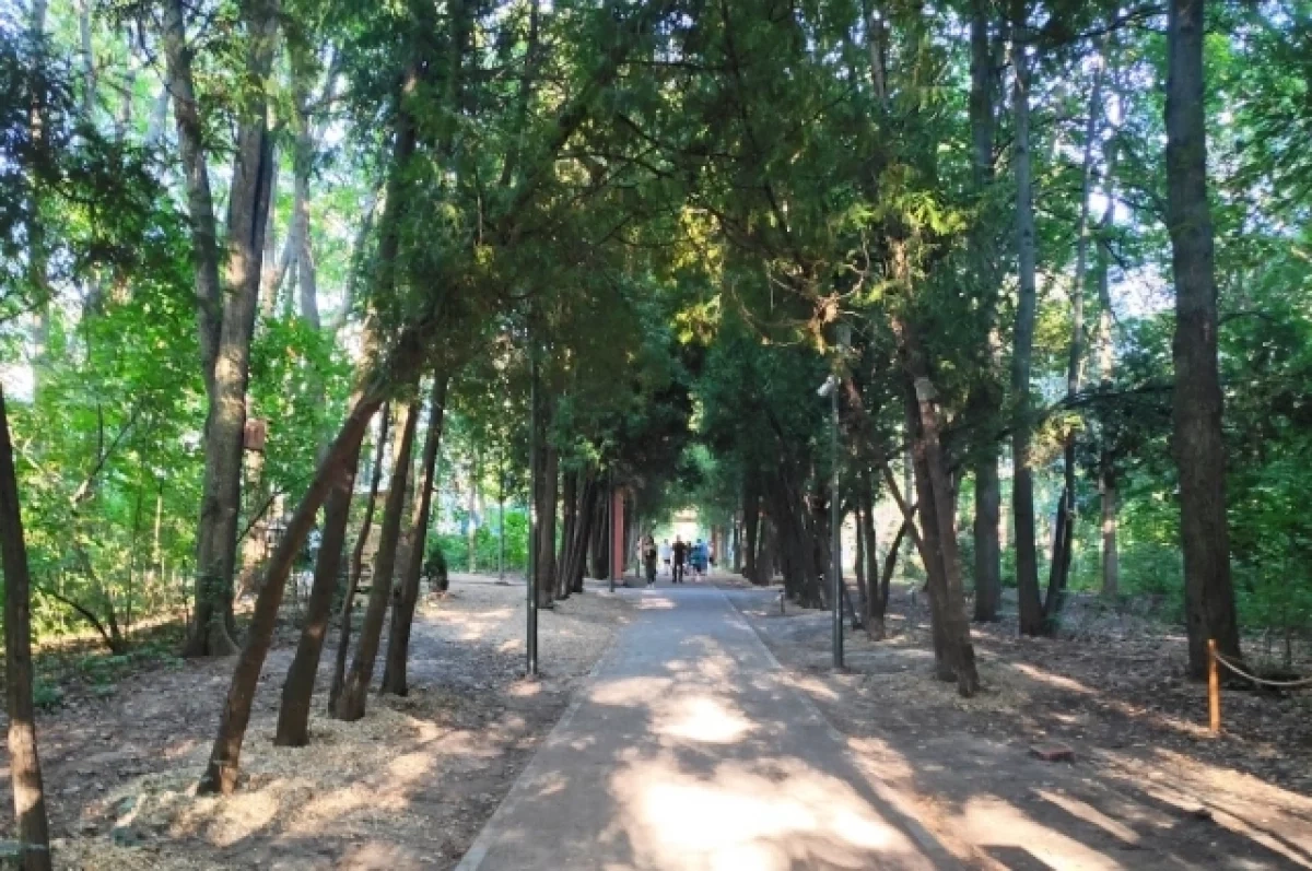 �� 40 �������� �������� ������� ������ ��� � ������ ���������