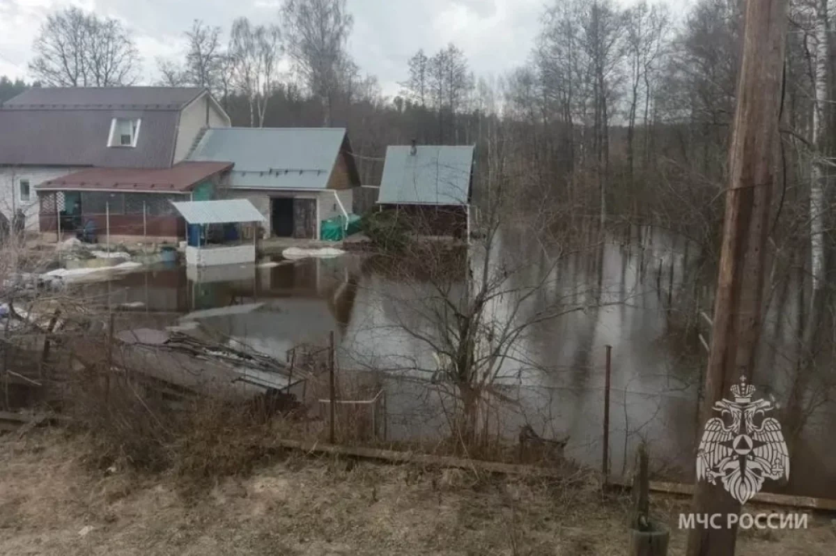 ����� 1100 �������� � 63 ���� ���������� �� ������� � ������������� �������