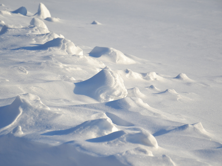 ������������� ������� ������ � ������� ����� ������� � ������