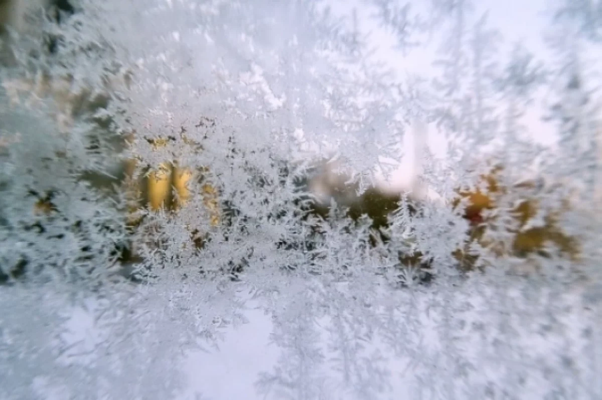 ����� � ������ ����������� ������� ������������ �� ������ 6-12 ������