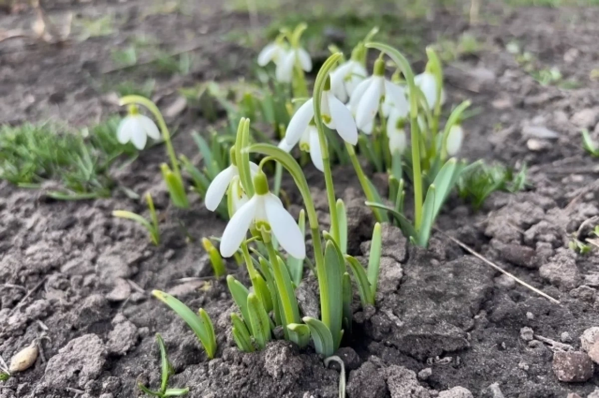 ���������� �������� ������� ������������ ����� ������ ������������� �����