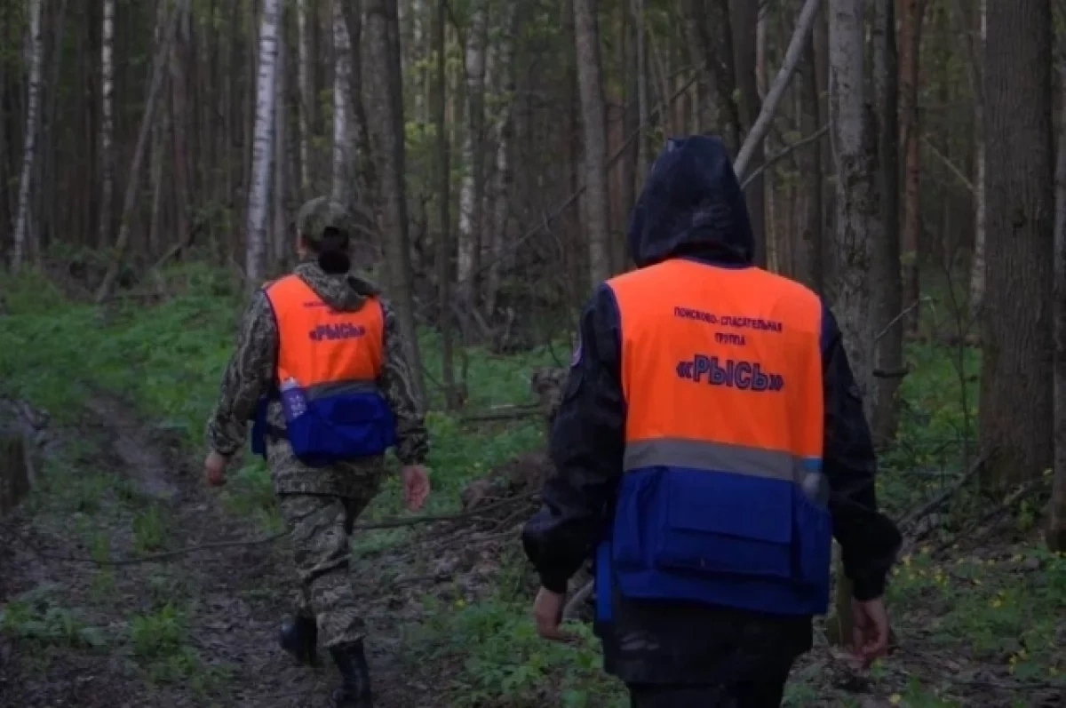 1804 нижегородца пропали за 2025 год