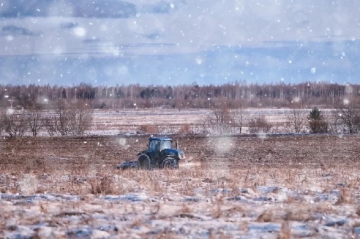 ����������� ����� ��������� �������������� � �������