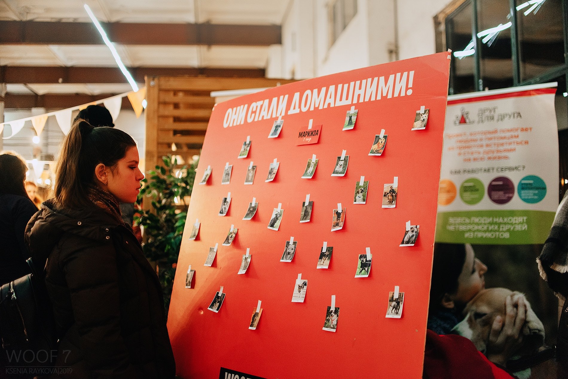 Фестиваль WOOF в поддержку животных из приютов пройдёт в Москве в 13-й раз!