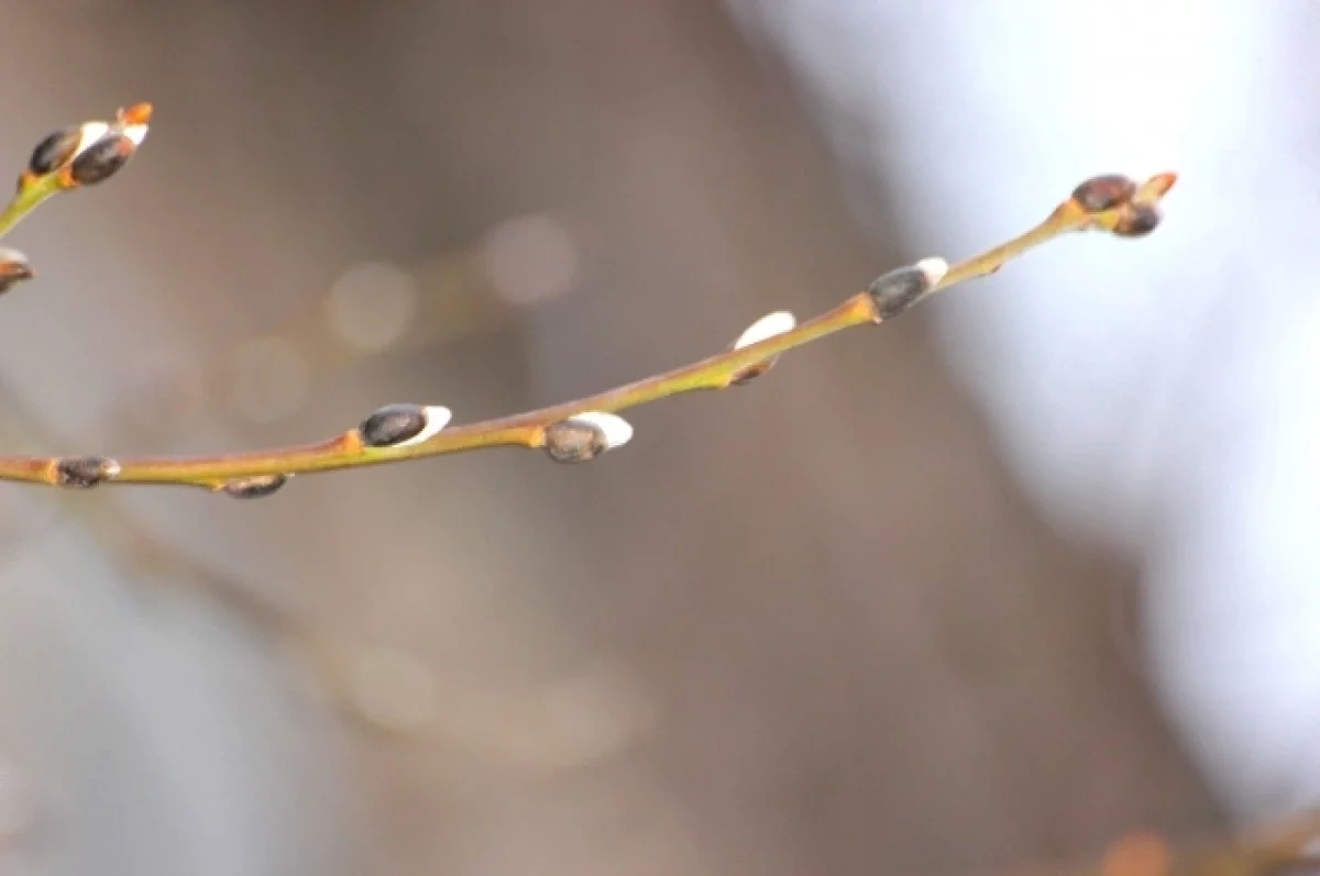 ������������ ������������ �� ��������� ����� ������ � �������� �����