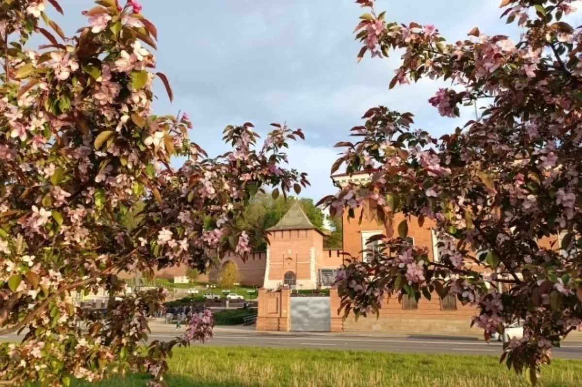 �������� ����� �����, ������� � ���� ������� ��������� � ������ ���������