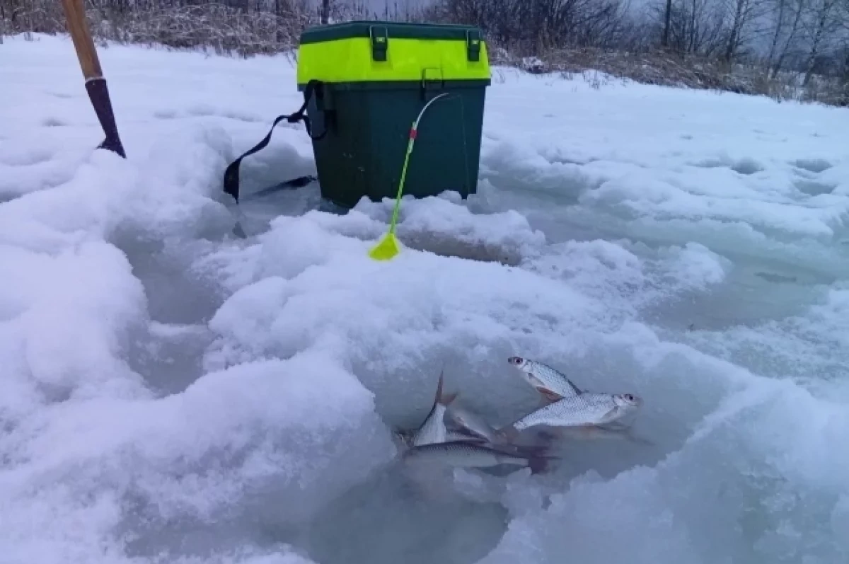 ������ ����� ���� �� ����������� ���� �������� � ������������� �������