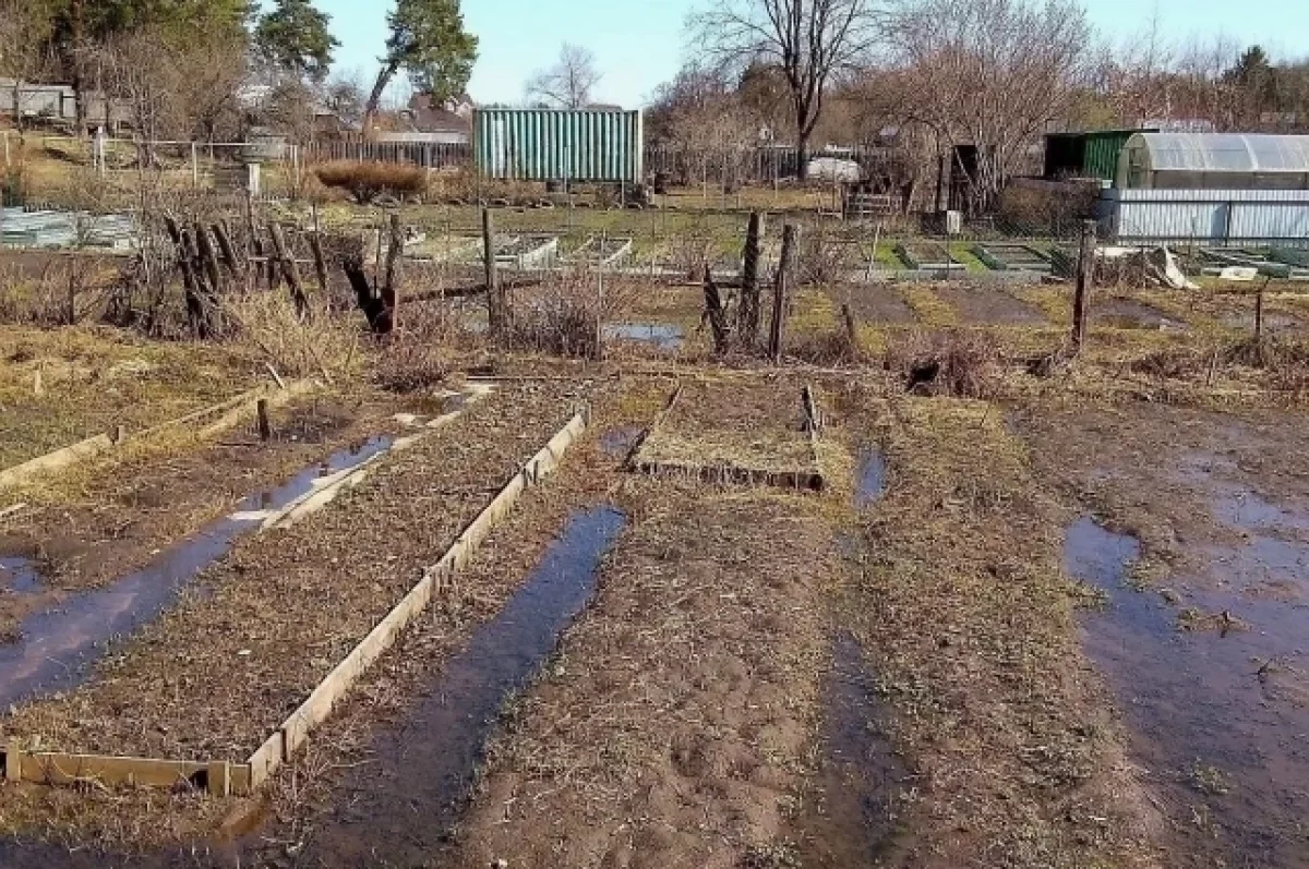 ���� ��������� � 8 ������� ������������� ������� 17 ������