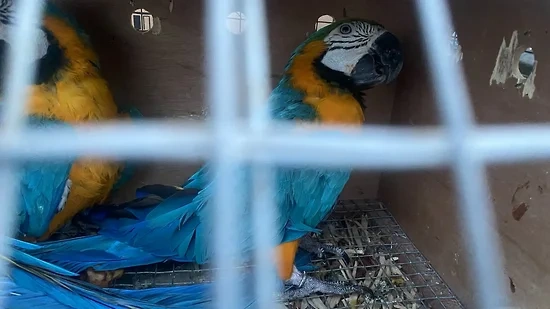 � ������ �������� �� ���������� ������ ������ ���� � �������������� �����������