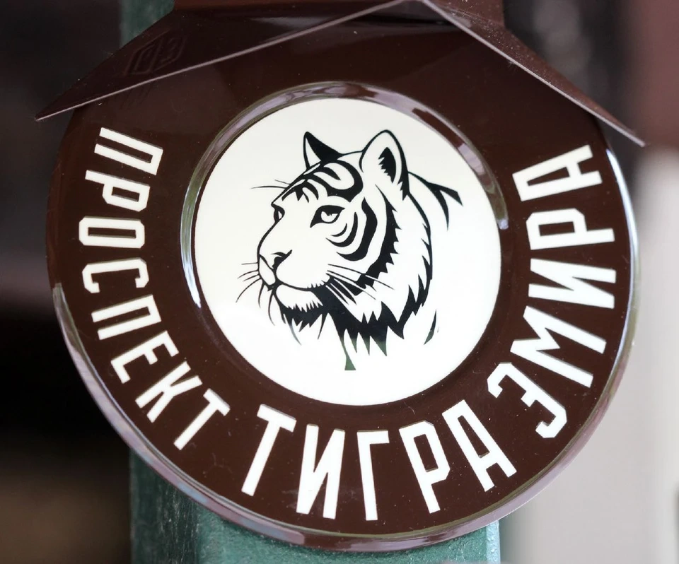 Проспект тигра Эмира появился в нижегородском зоопарке «Лимпопо»