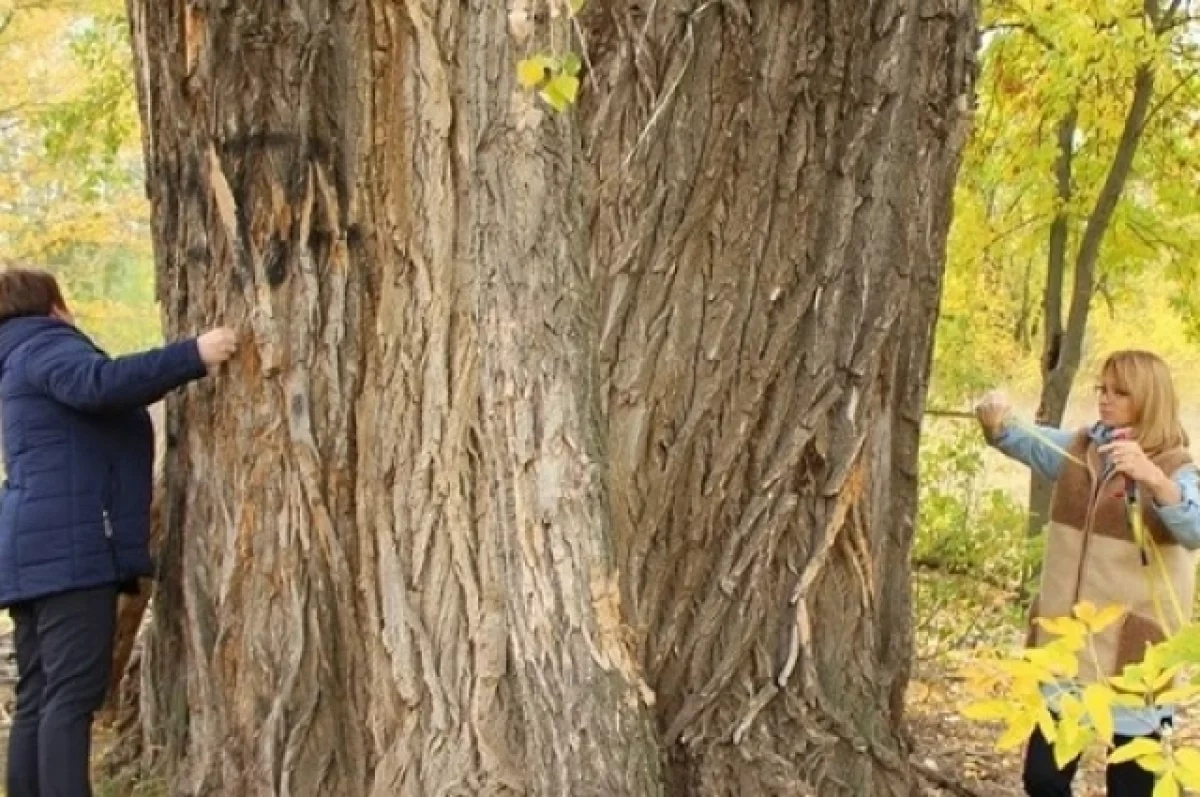 �������� ���� ���������� ������ ��� ��������� ������� � ������ ���������