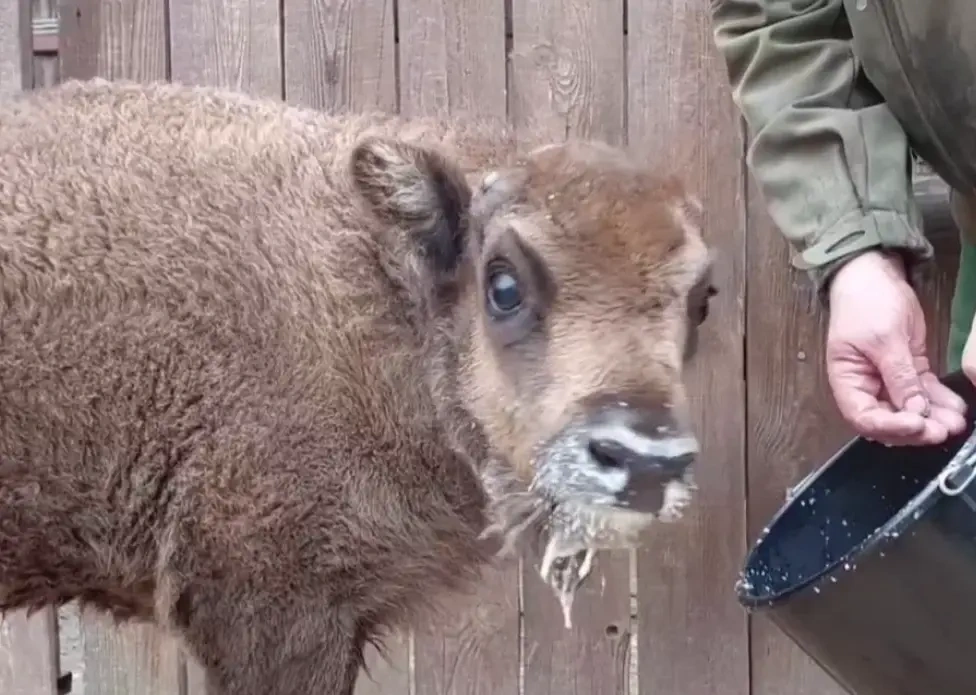 � ������������� ���� ��������� ������� ��������� ������