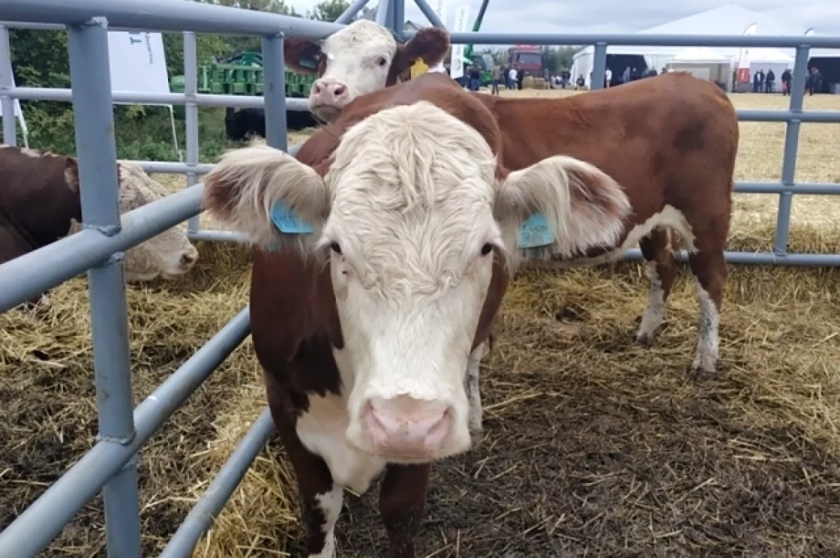 �������� �� ��������� ����� � ������������� �������