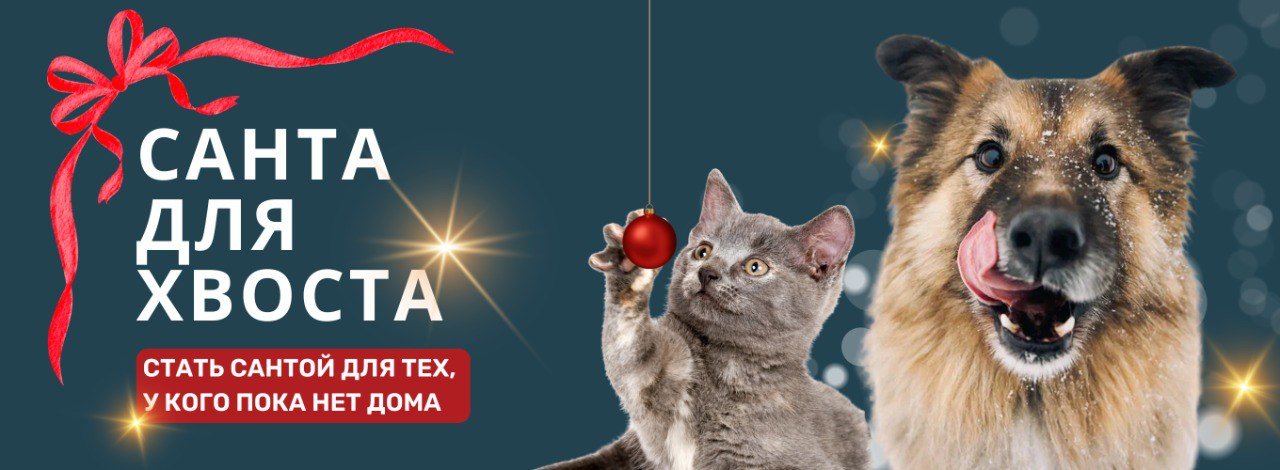 ���� ����� �������� ����� ������ ��� ������ � ��������� ��������� ��������