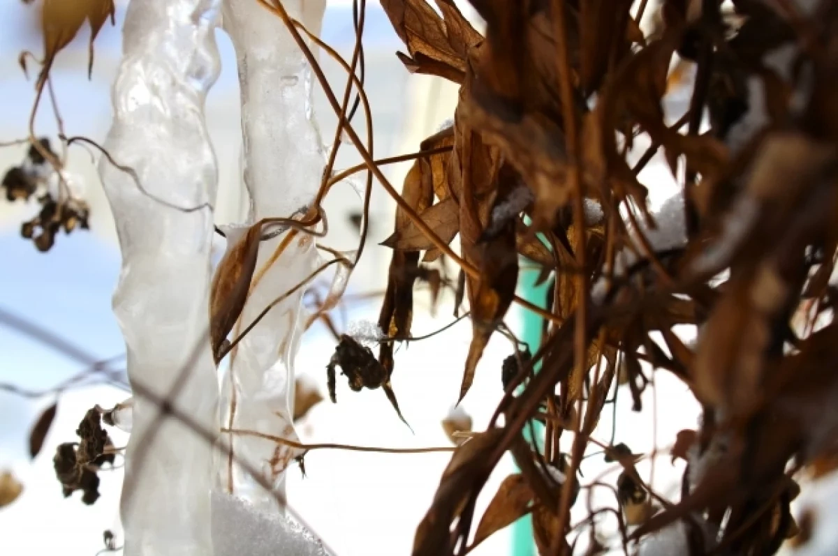 ������������ �� ������ ���� ����������