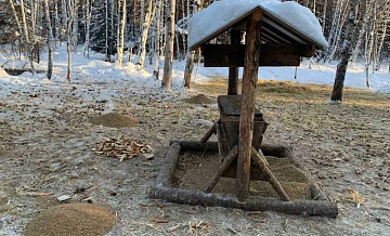 Кормушки для диких животных создают в нижегородских лесах зимой